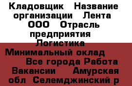 Кладовщик › Название организации ­ Лента, ООО › Отрасль предприятия ­ Логистика › Минимальный оклад ­ 23 230 - Все города Работа » Вакансии   . Амурская обл.,Селемджинский р-н